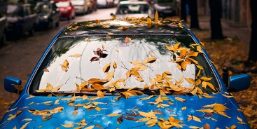 Autoruiten schoonmaken bladeren herfst