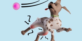 Hond springt in de lucht om roze bal te vangen