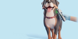 Chip van hond wordt gescand