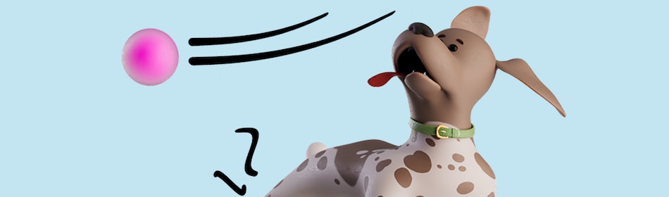 Hond rent achter bal aan