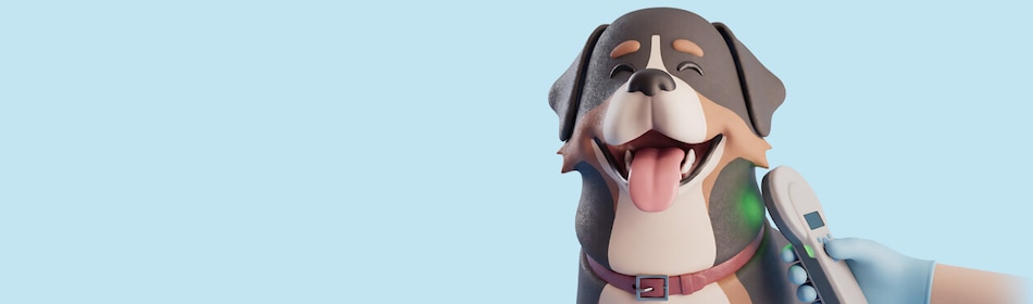 De chip van een hond wordt gescand