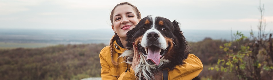 hond gezondheid voordelen