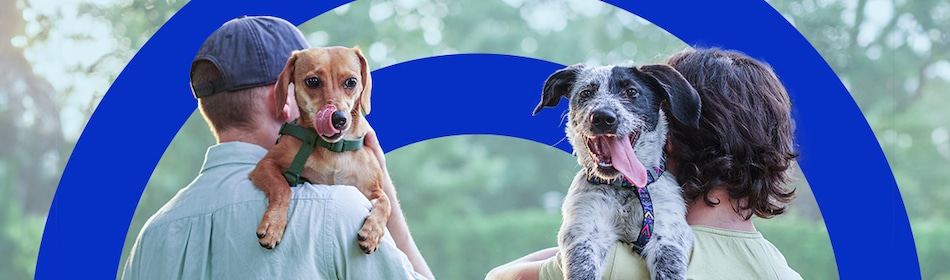 Paar met honden