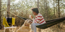Hond mee naar camping