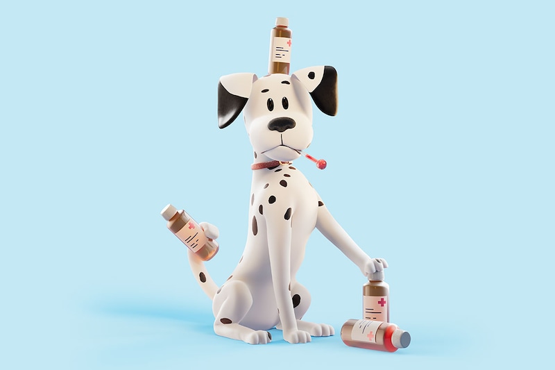 Hond medicijnen