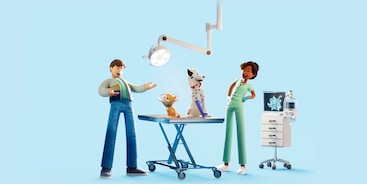 Dierenarts hond kat