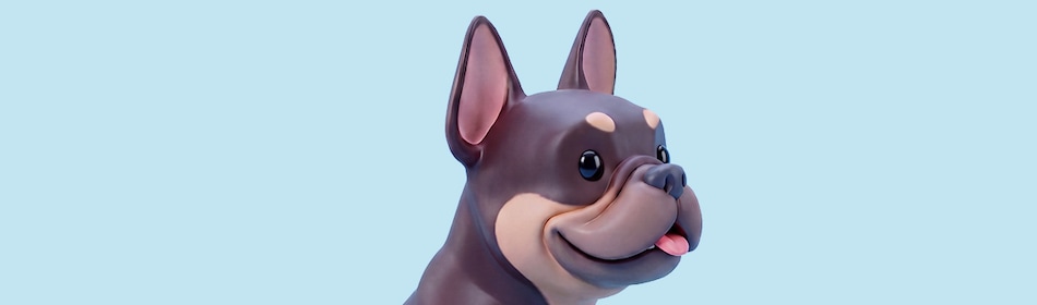 Franse bulldog kopen