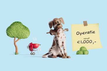 hond operatie