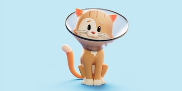 Kat met kap