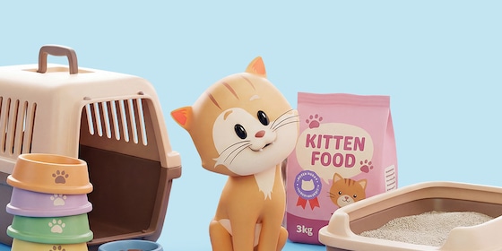 kitten met benodigdheden