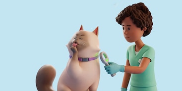 Kat op behandeltafel met dierenarts