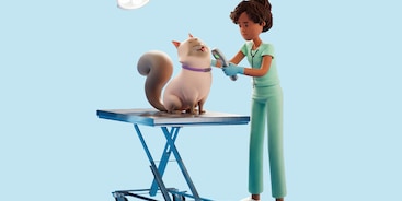 Kat op behandeltafel met vrouwelijke dierenarts