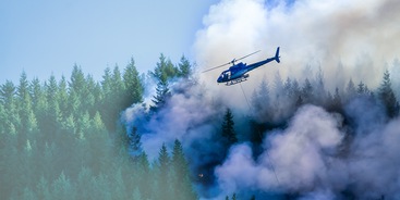 bosbrand hitte
