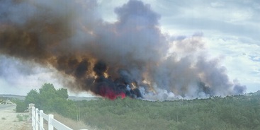 bosbrand bij strand
