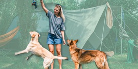 Spelen met hond op de camping