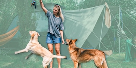 Spelen met hond op de camping