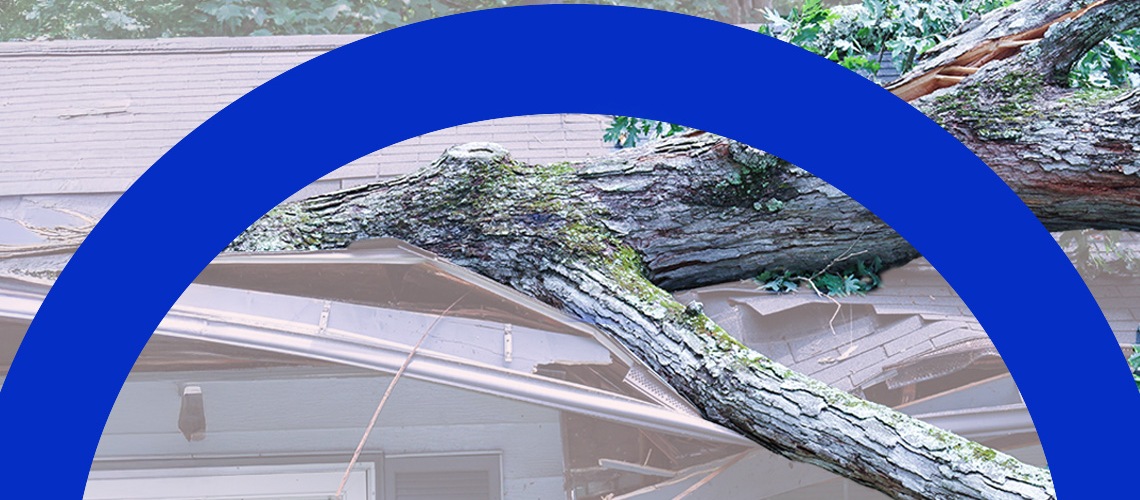 Een boom is op het dak gevallen door stormschade