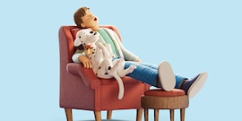 Man slaap met hond op stoel